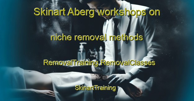 Skinart Aberg workshops on niche removal methods | #RemovalTraining #RemovalClasses #SkinartTraining-Finland