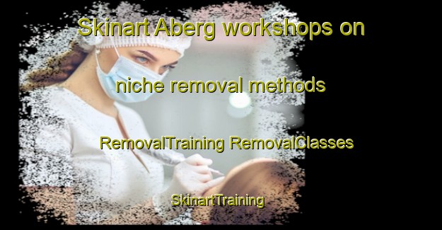 Skinart Aberg workshops on niche removal methods | #RemovalTraining #RemovalClasses #SkinartTraining-Finland