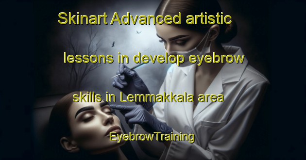 Skinart Advanced artistic lessons in develop eyebrow skills in Lemmakkala area | EyebrowTraining | EyebrowClasses | SkinartTraining-Finland