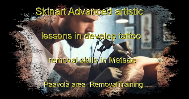 Skinart Advanced artistic lessons in develop tattoo removal skills in Metsae Paavola area | RemovalTraining | RemovalClasses | SkinartTraining-Finland