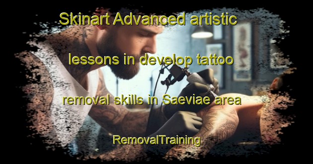 Skinart Advanced artistic lessons in develop tattoo removal skills in Saeviae area | RemovalTraining | RemovalClasses | SkinartTraining-Finland