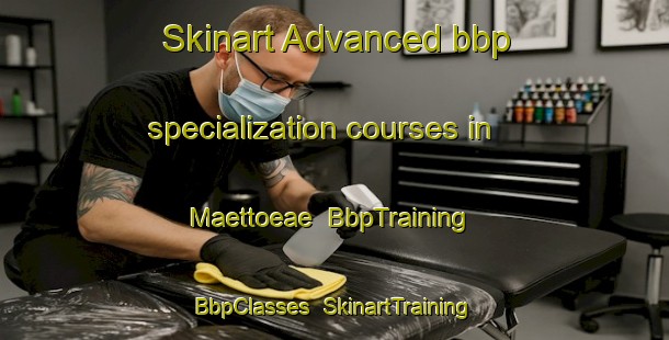 Skinart Advanced bbp specialization courses in Maettoeae | BbpTraining | BbpClasses | SkinartTraining-Finland