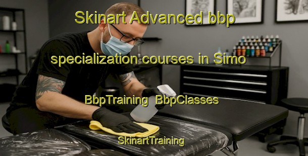 Skinart Advanced bbp specialization courses in Simo | BbpTraining | BbpClasses | SkinartTraining-Finland