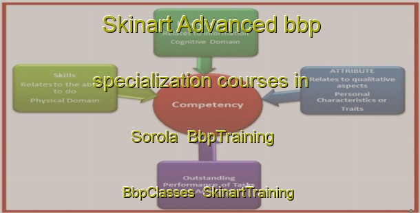 Skinart Advanced bbp specialization courses in Sorola | BbpTraining | BbpClasses | SkinartTraining-Finland