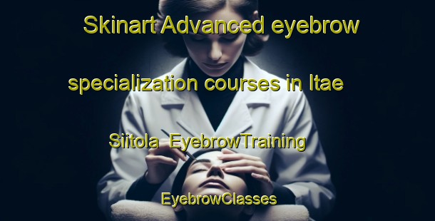 Skinart Advanced eyebrow specialization courses in Itae Siitola | EyebrowTraining | EyebrowClasses | SkinartTraining-Finland