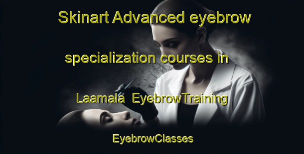 Skinart Advanced eyebrow specialization courses in Laamala | EyebrowTraining | EyebrowClasses | SkinartTraining-Finland