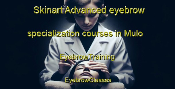 Skinart Advanced eyebrow specialization courses in Mulo | EyebrowTraining | EyebrowClasses | SkinartTraining-Finland