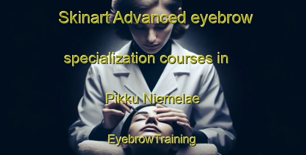 Skinart Advanced eyebrow specialization courses in Pikku Niemelae | EyebrowTraining | EyebrowClasses | SkinartTraining-Finland