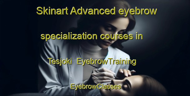 Skinart Advanced eyebrow specialization courses in Tesjoki | EyebrowTraining | EyebrowClasses | SkinartTraining-Finland