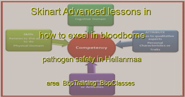 Skinart Advanced lessons in how to excel in bloodborne pathogen safety in Hellanmaa area | BbpTraining | BbpClasses | SkinartTraining-Finland