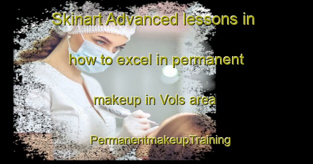 Skinart Advanced lessons in how to excel in permanent makeup in Vols area | PermanentmakeupTraining | PermanentmakeupClasses | SkinartTraining-Finland