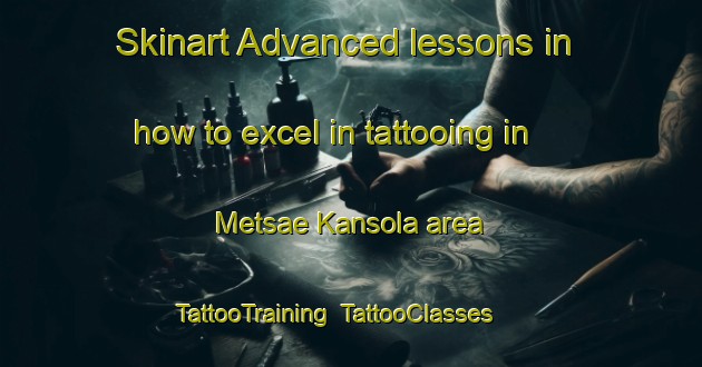 Skinart Advanced lessons in how to excel in tattooing in Metsae Kansola area | TattooTraining | TattooClasses | SkinartTraining-Finland