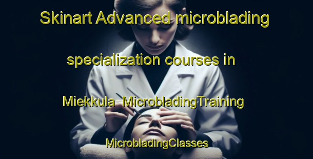 Skinart Advanced microblading specialization courses in Miekkula | #MicrobladingTraining #MicrobladingClasses #SkinartTraining-Finland