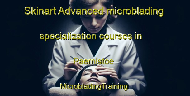 Skinart Advanced microblading specialization courses in Paernistoe | #MicrobladingTraining #MicrobladingClasses #SkinartTraining-Finland