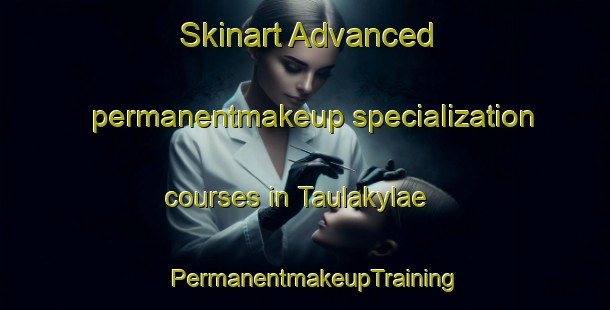 Skinart Advanced permanentmakeup specialization courses in Taulakylae | PermanentmakeupTraining | PermanentmakeupClasses | SkinartTraining-Finland