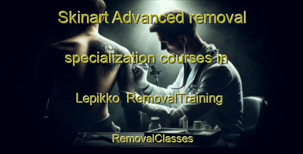 Skinart Advanced removal specialization courses in Lepikko | RemovalTraining | RemovalClasses | SkinartTraining-Finland