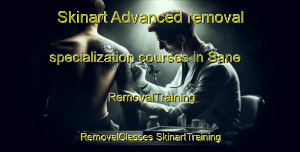 Skinart Advanced removal specialization courses in Sane | #RemovalTraining #RemovalClasses #SkinartTraining-Finland