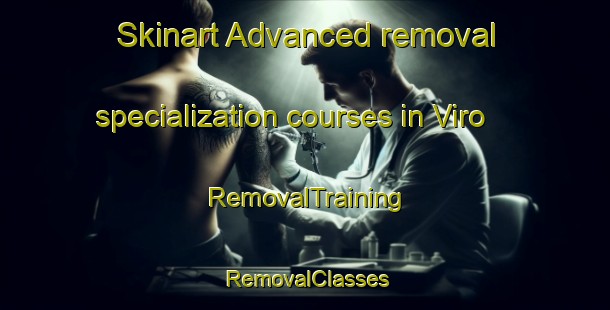Skinart Advanced removal specialization courses in Viro | RemovalTraining | RemovalClasses | SkinartTraining-Finland