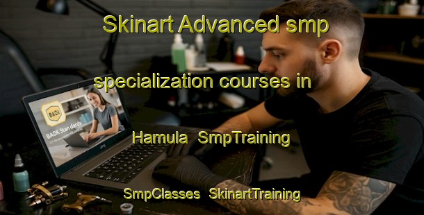 Skinart Advanced smp specialization courses in Hamula | SmpTraining | SmpClasses | SkinartTraining-Finland