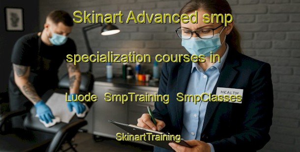 Skinart Advanced smp specialization courses in Luode | SmpTraining | SmpClasses | SkinartTraining-Finland