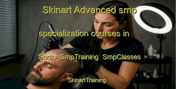 Skinart Advanced smp specialization courses in Sontu | SmpTraining | SmpClasses | SkinartTraining-Finland
