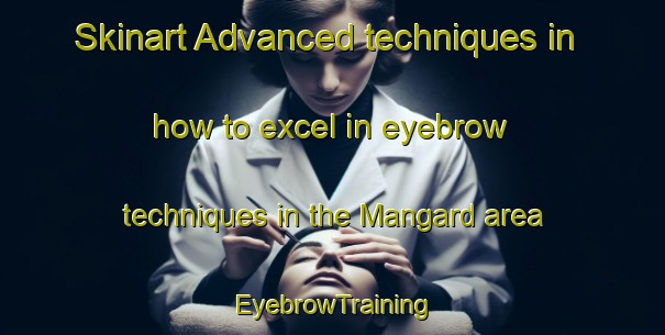 Skinart Advanced techniques in how to excel in eyebrow techniques in the Mangard area | EyebrowTraining | EyebrowClasses | SkinartTraining-Finland