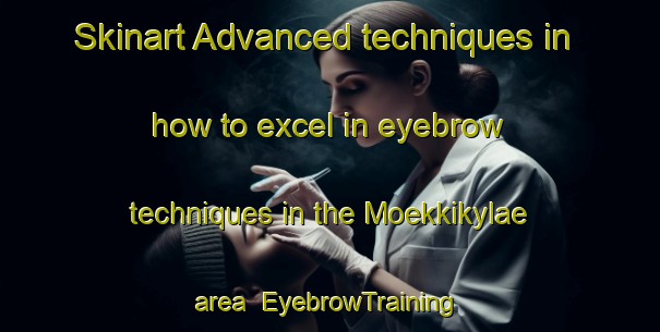 Skinart Advanced techniques in how to excel in eyebrow techniques in the Moekkikylae area | EyebrowTraining | EyebrowClasses | SkinartTraining-Finland