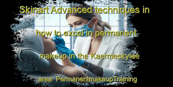 Skinart Advanced techniques in how to excel in permanent makeup in the Kaermeskylae area | PermanentmakeupTraining | PermanentmakeupClasses | SkinartTraining-Finland