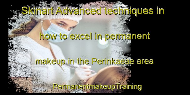 Skinart Advanced techniques in how to excel in permanent makeup in the Perinkaeae area | PermanentmakeupTraining | PermanentmakeupClasses | SkinartTraining-Finland