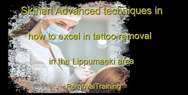 Skinart Advanced techniques in how to excel in tattoo removal in the Lippumaeki area | RemovalTraining | RemovalClasses | SkinartTraining-Finland