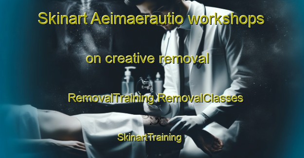 Skinart Aeimaerautio workshops on creative removal | #RemovalTraining #RemovalClasses #SkinartTraining-Finland