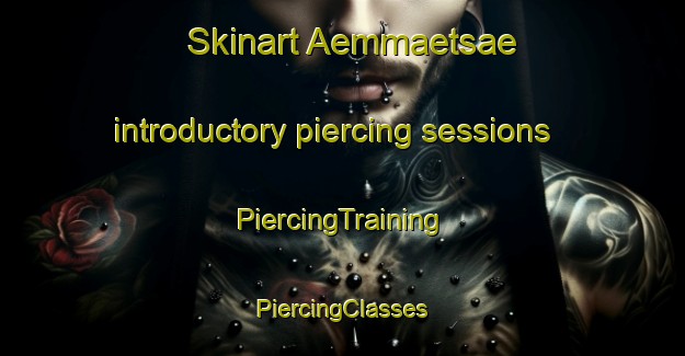 Skinart Aemmaetsae introductory piercing sessions | #PiercingTraining #PiercingClasses #SkinartTraining-Finland