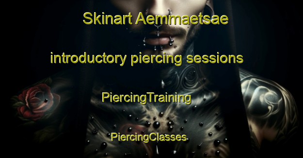 Skinart Aemmaetsae introductory piercing sessions | PiercingTraining | PiercingClasses | SkinartTraining-Finland