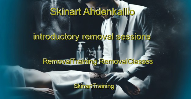 Skinart Ahdenkallio introductory removal sessions | #RemovalTraining #RemovalClasses #SkinartTraining-Finland