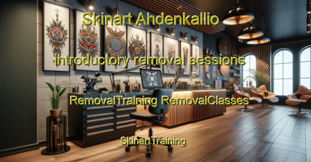 Skinart Ahdenkallio introductory removal sessions | #RemovalTraining #RemovalClasses #SkinartTraining-Finland