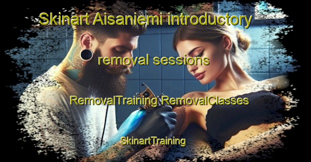 Skinart Aisaniemi introductory removal sessions | #RemovalTraining #RemovalClasses #SkinartTraining-Finland