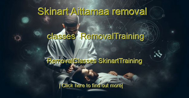 Skinart Aittamaa removal classes | #RemovalTraining #RemovalClasses #SkinartTraining-Finland