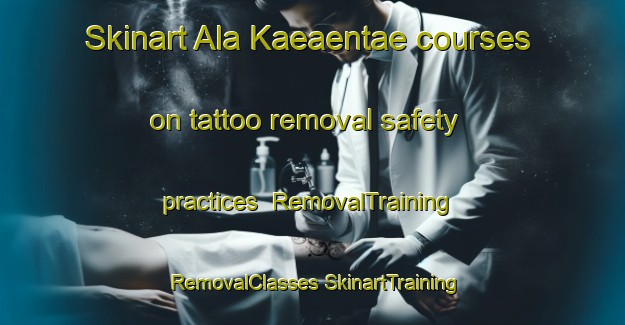 Skinart Ala Kaeaentae courses on tattoo removal safety practices | #RemovalTraining #RemovalClasses #SkinartTraining-Finland