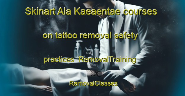 Skinart Ala Kaeaentae courses on tattoo removal safety practices | RemovalTraining | RemovalClasses | SkinartTraining-Finland