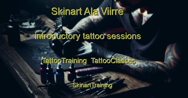 Skinart Ala Viirre introductory tattoo sessions | TattooTraining | TattooClasses | SkinartTraining-Finland