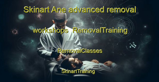 Skinart Ane advanced removal workshops | RemovalTraining | RemovalClasses | SkinartTraining-Finland