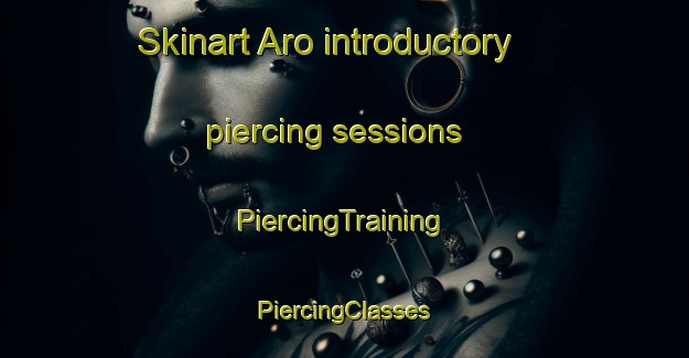 Skinart Aro introductory piercing sessions | #PiercingTraining #PiercingClasses #SkinartTraining-Finland