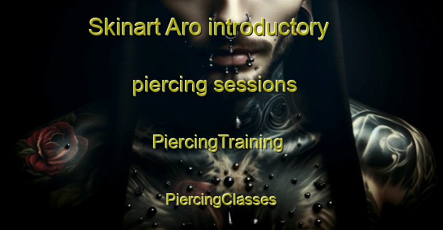 Skinart Aro introductory piercing sessions | #PiercingTraining #PiercingClasses #SkinartTraining-Finland