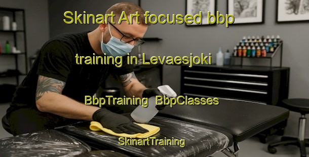 Skinart Art-focused bbp training in Levaesjoki | BbpTraining | BbpClasses | SkinartTraining-Finland