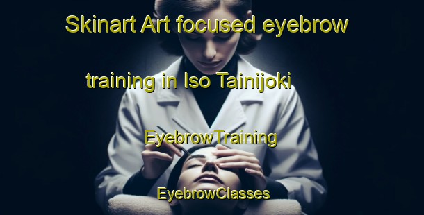 Skinart Art-focused eyebrow training in Iso Tainijoki | EyebrowTraining | EyebrowClasses | SkinartTraining-Finland
