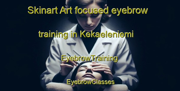 Skinart Art-focused eyebrow training in Kekaeleniemi | EyebrowTraining | EyebrowClasses | SkinartTraining-Finland