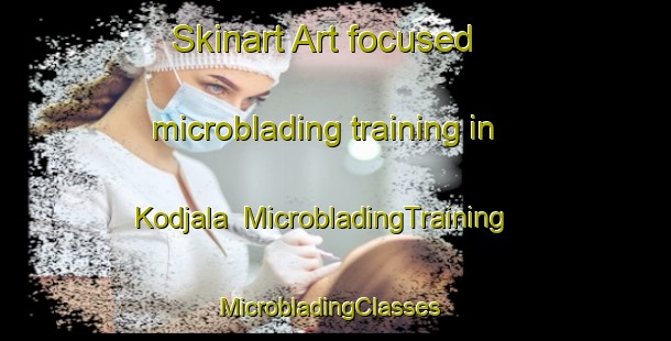 Skinart Art-focused microblading training in Kodjala | MicrobladingTraining | MicrobladingClasses | SkinartTraining-Finland