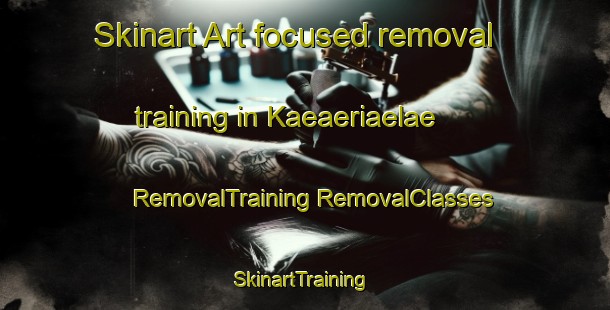 Skinart Art-focused removal training in Kaeaeriaelae | #RemovalTraining #RemovalClasses #SkinartTraining-Finland