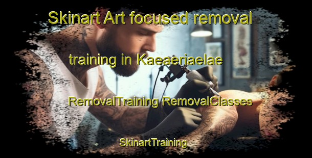 Skinart Art-focused removal training in Kaeaeriaelae | #RemovalTraining #RemovalClasses #SkinartTraining-Finland