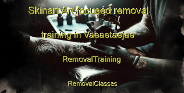 Skinart Art-focused removal training in Vaeaetaejae | RemovalTraining | RemovalClasses | SkinartTraining-Finland